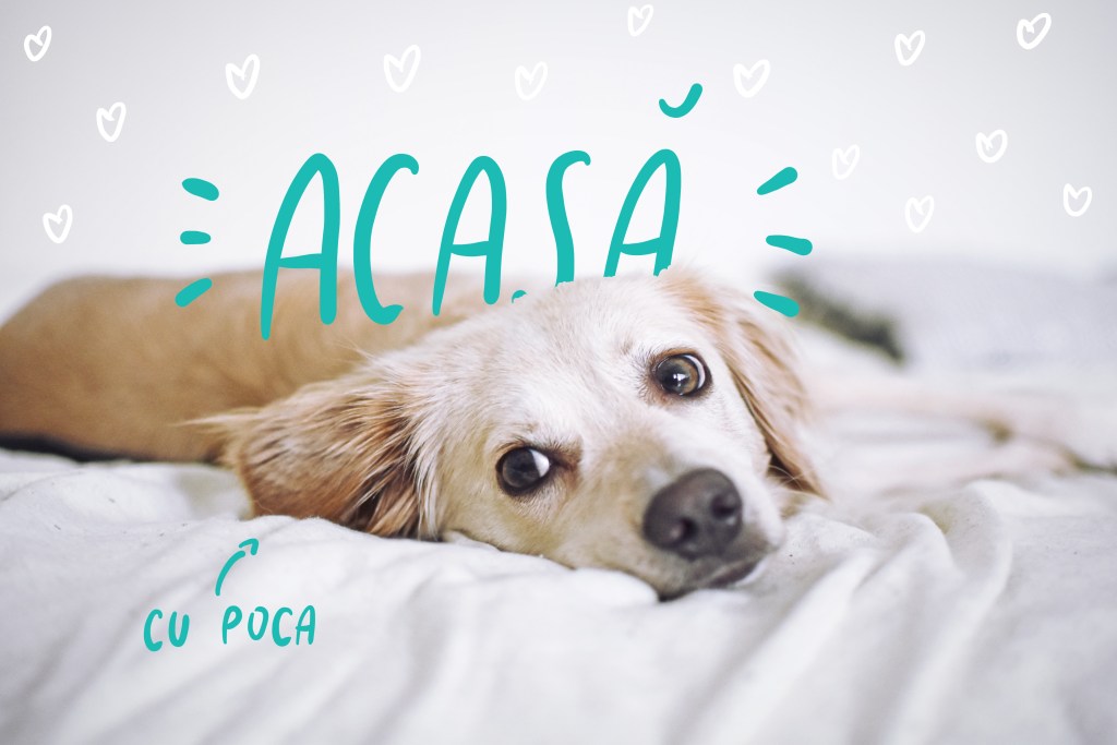 Acasa -zona mea de confort&nbsp;suprem