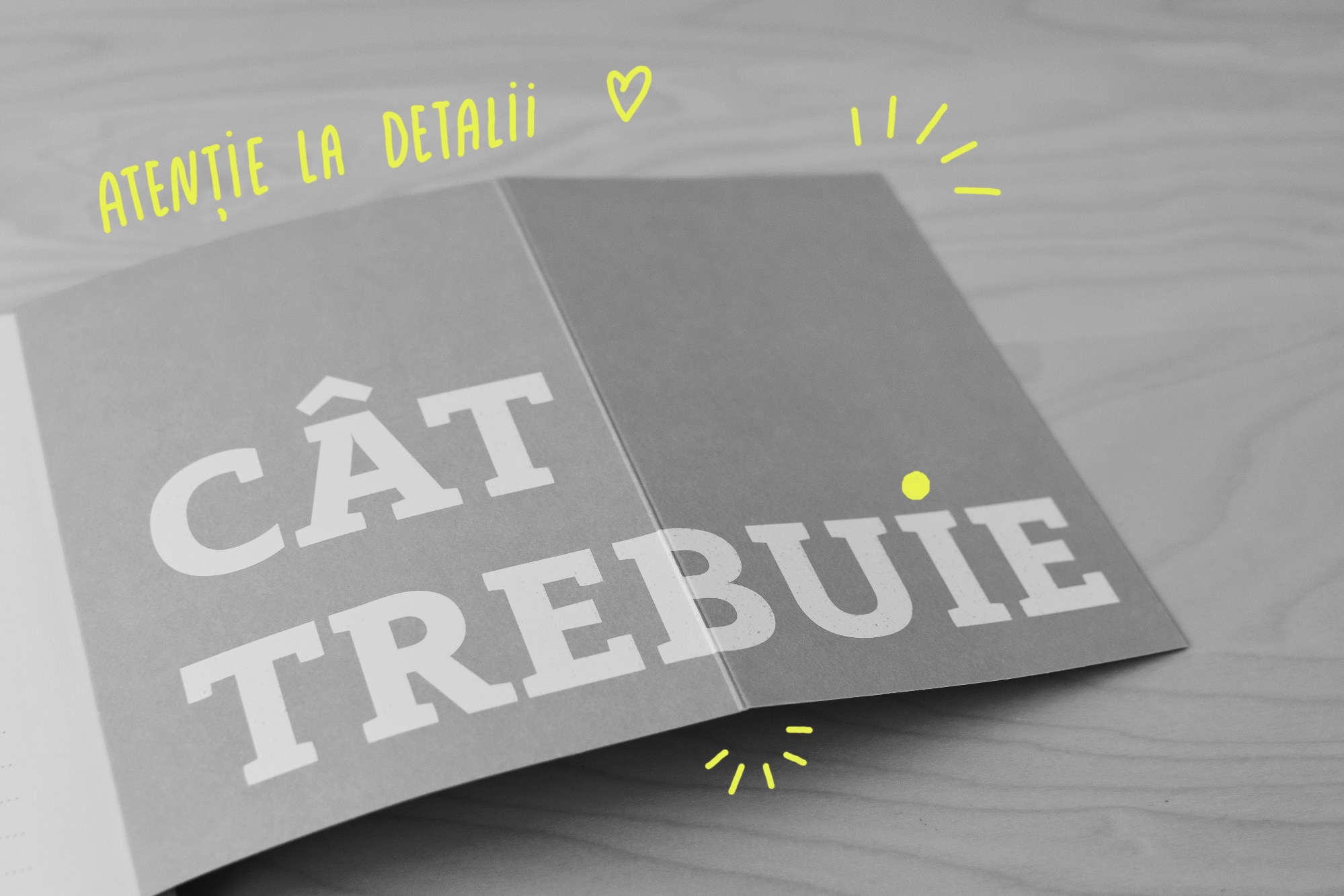 editura-publica-recenzie-carte-coffentropy-2