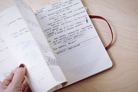 moleskine-planner-coffentropy