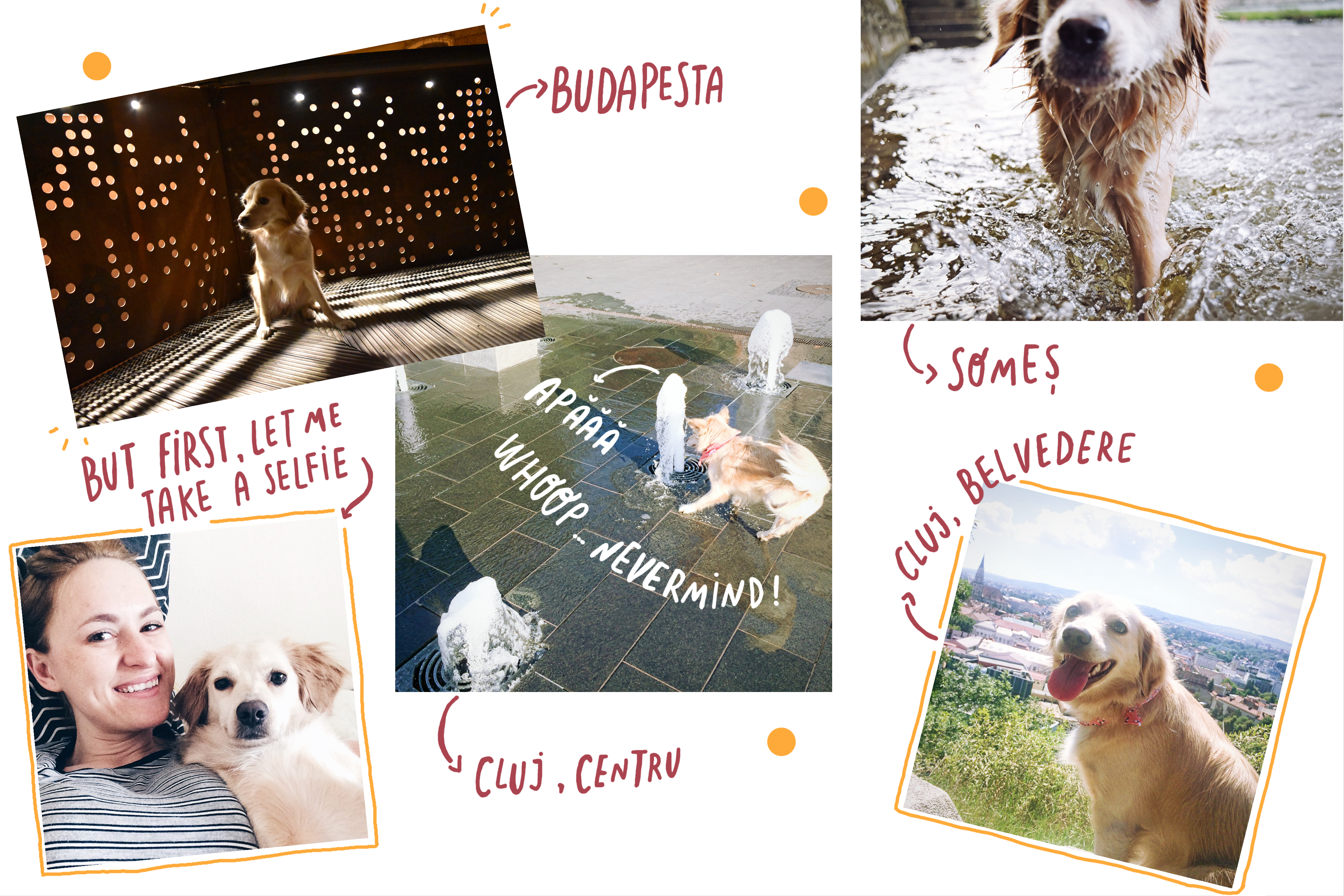 Poca coffentropy ruffwear.png