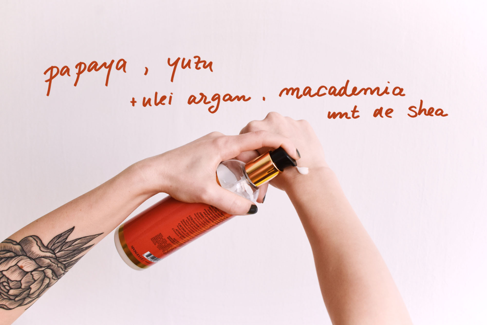 spongelee review coffentropy