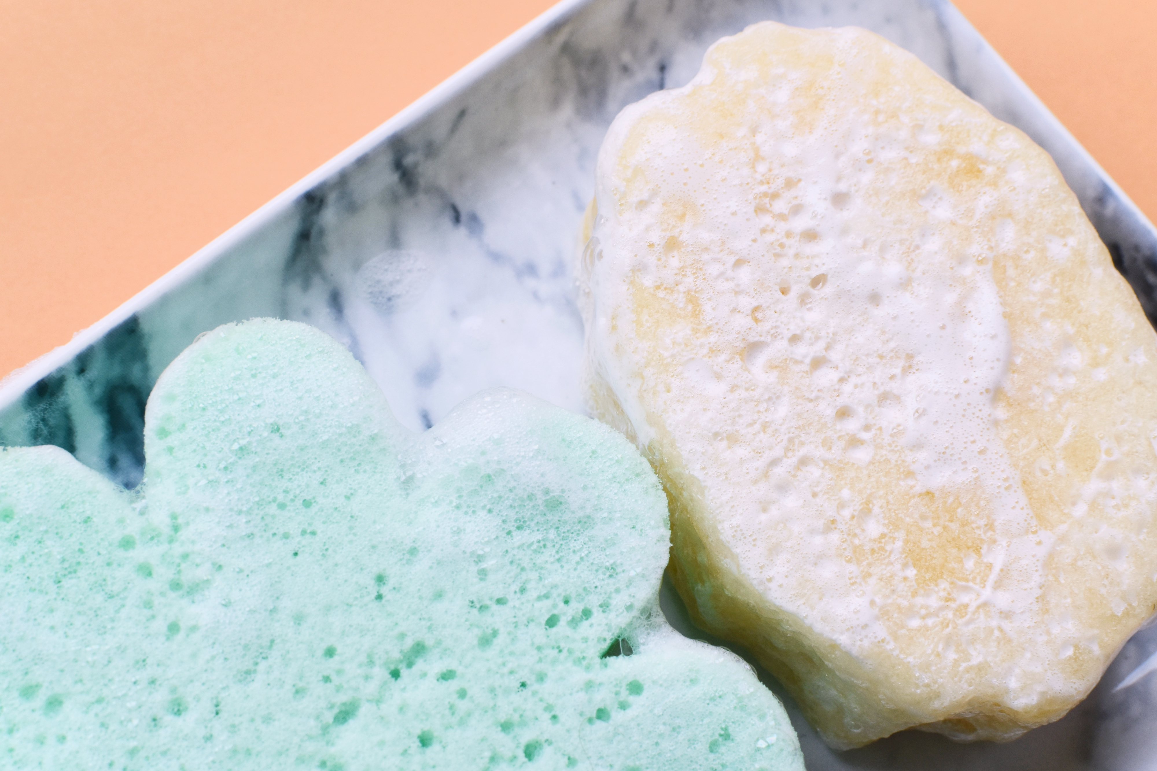 spongelee savage beauties coffentropy