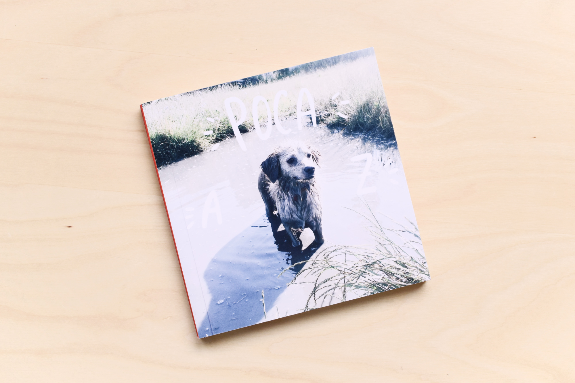 fotocolaj_album_coffentropy_cluj5