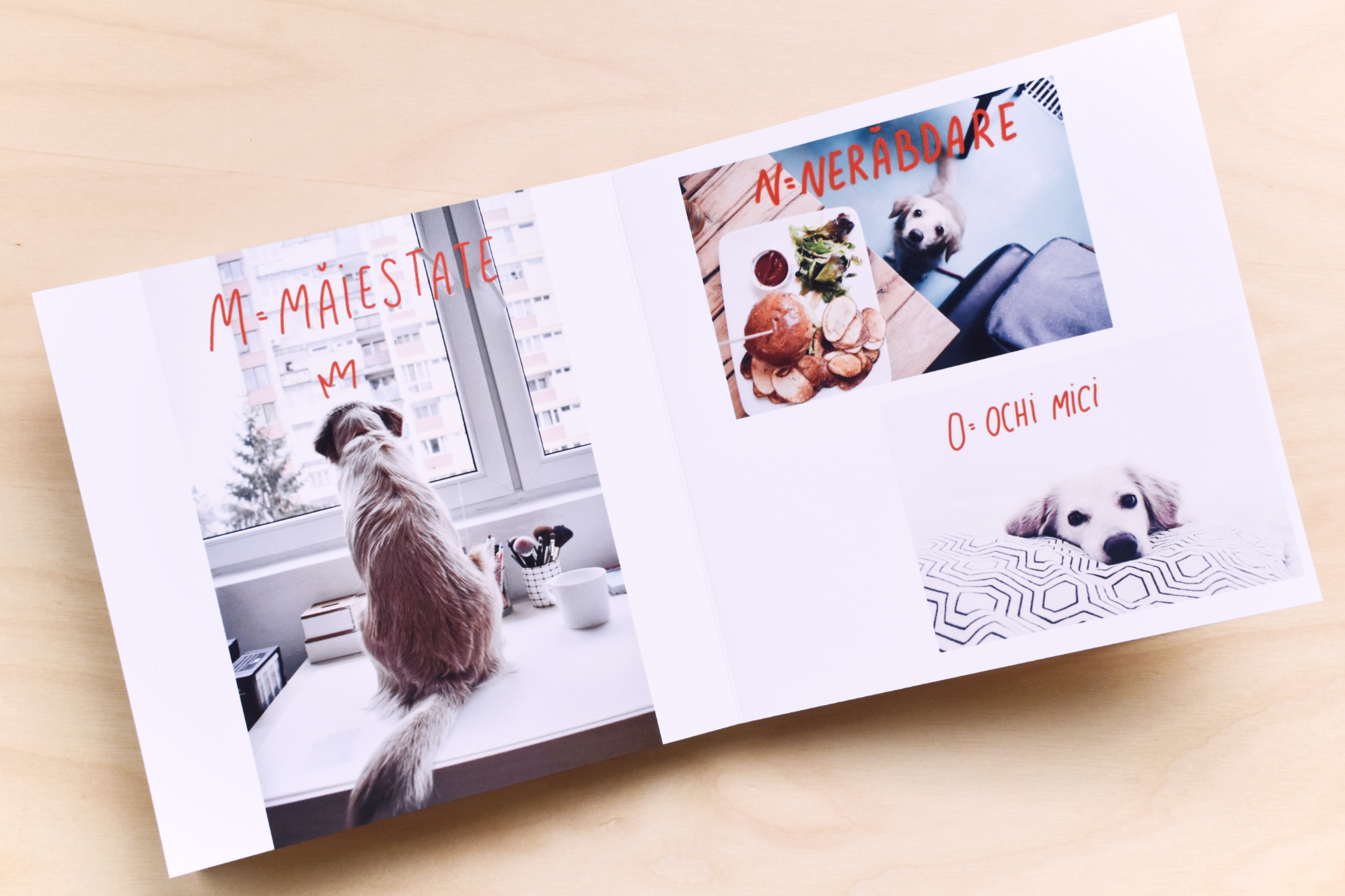 fotocolaj_album_coffentropy_cluj7