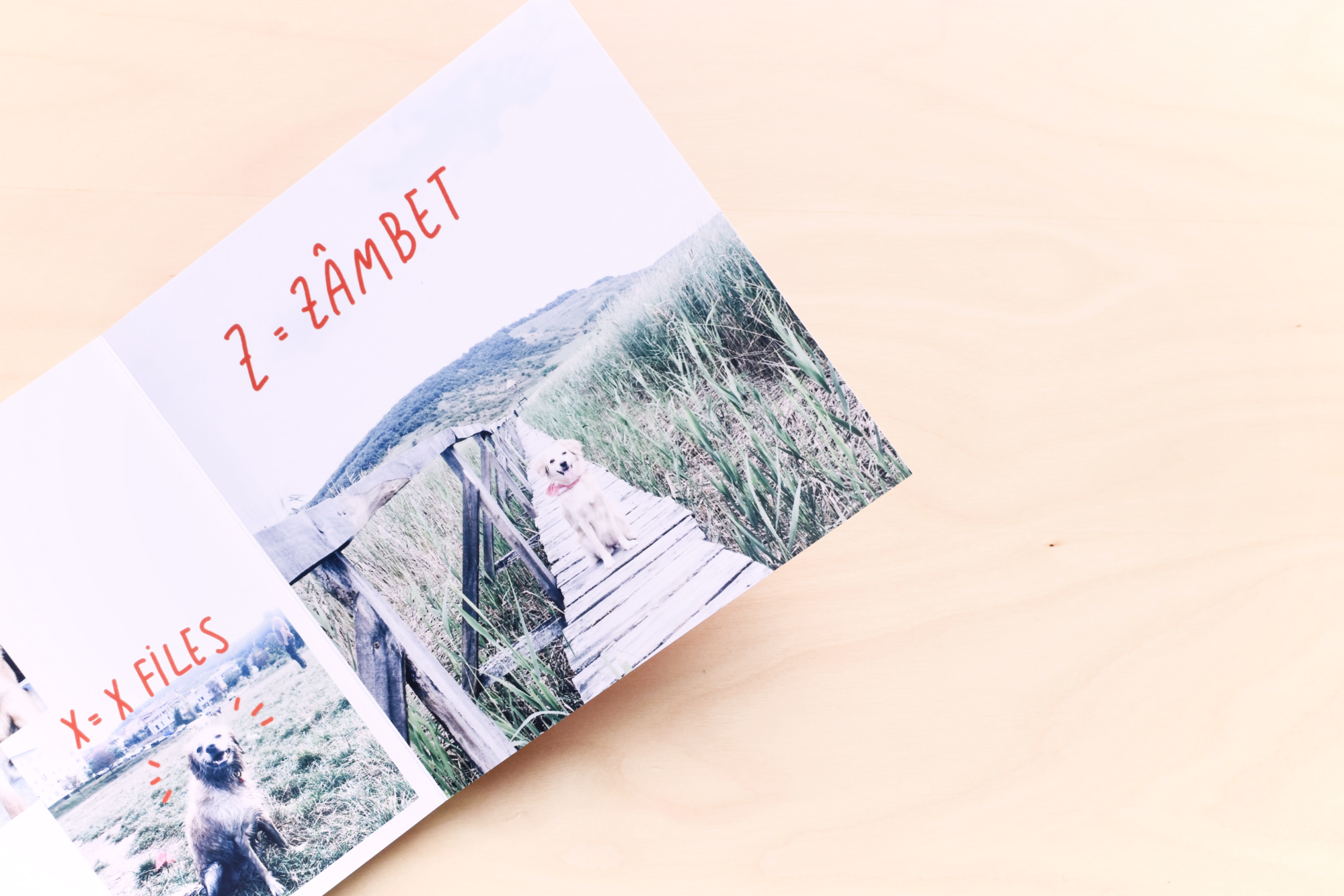 fotocolaj_album_coffentropy_cluj9