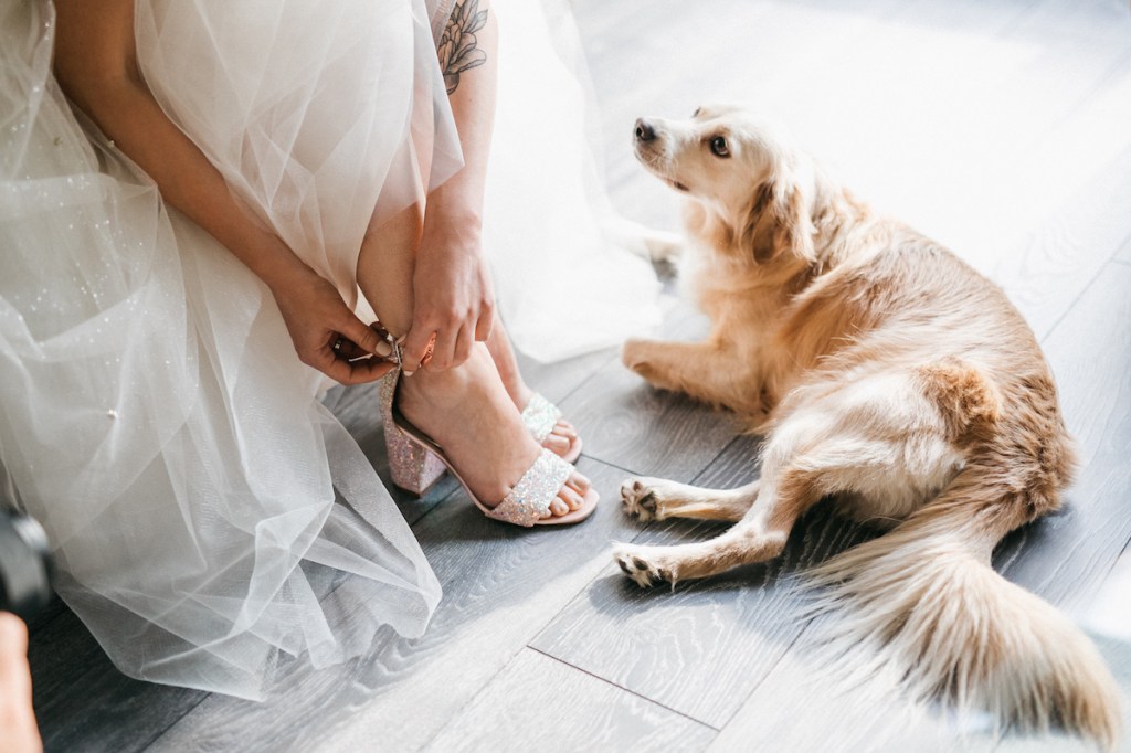 Construind „Noi” – ep.5 Rochia și pantofii de&nbsp;mireasă