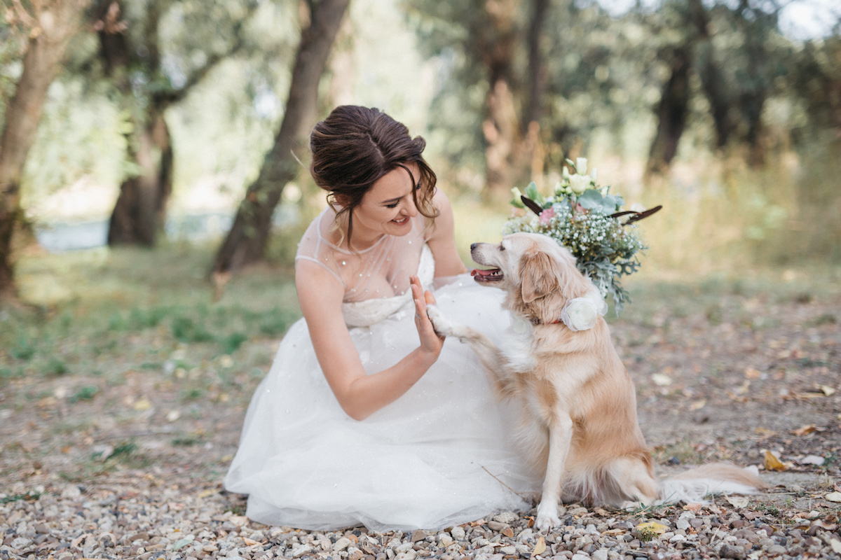 Coffentropy_nunta_villa drago3