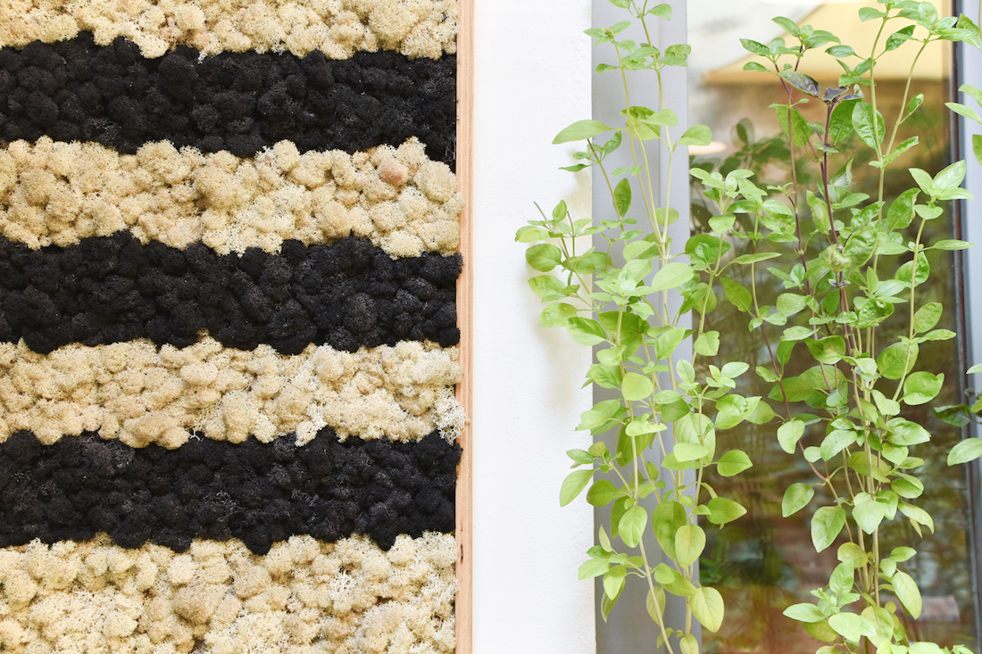 Coffentropy_Manger_cluj_cina_33