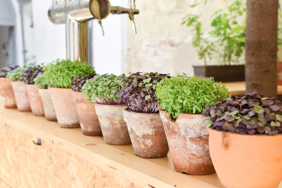 Coffentropy_Manger_cluj_cina_36