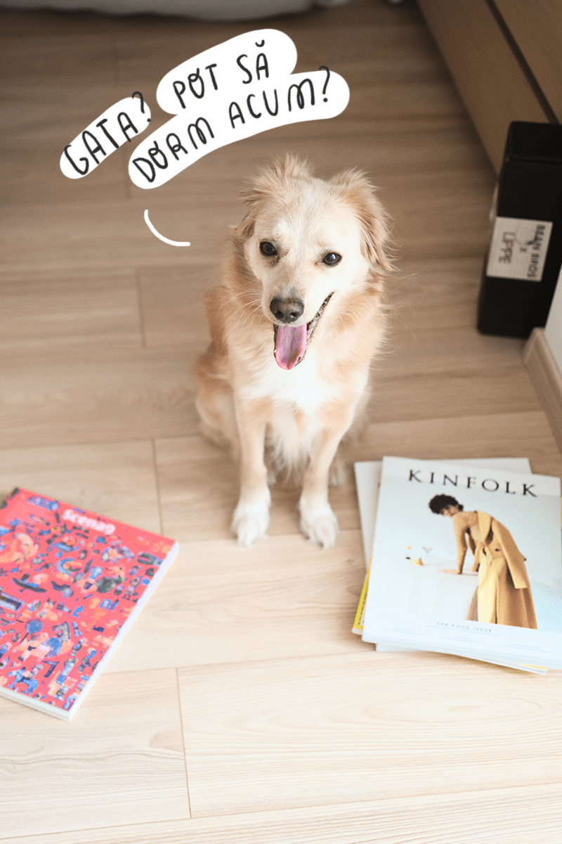 coffentropy_reviste1