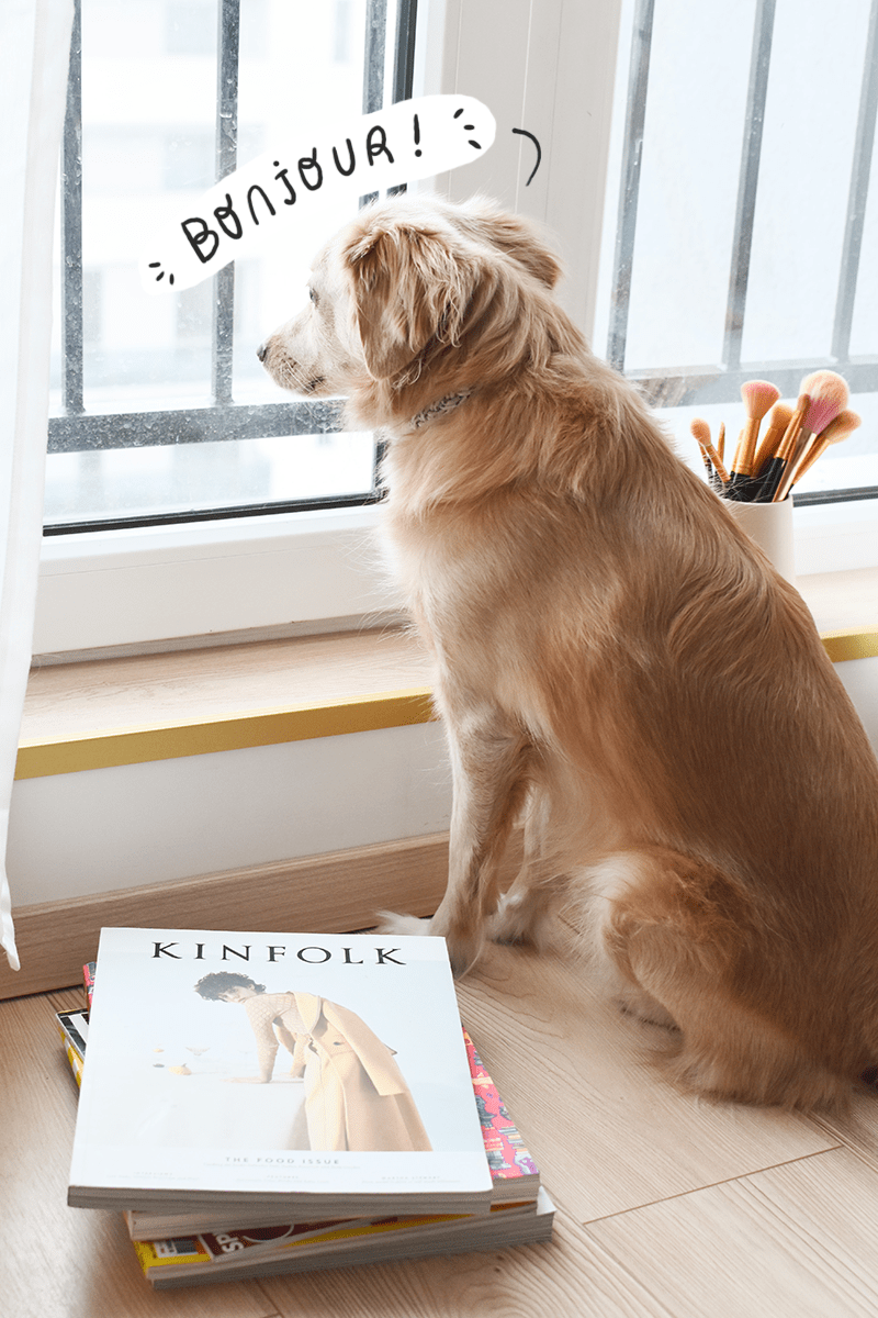 Reclama și postările plătite&nbsp;online