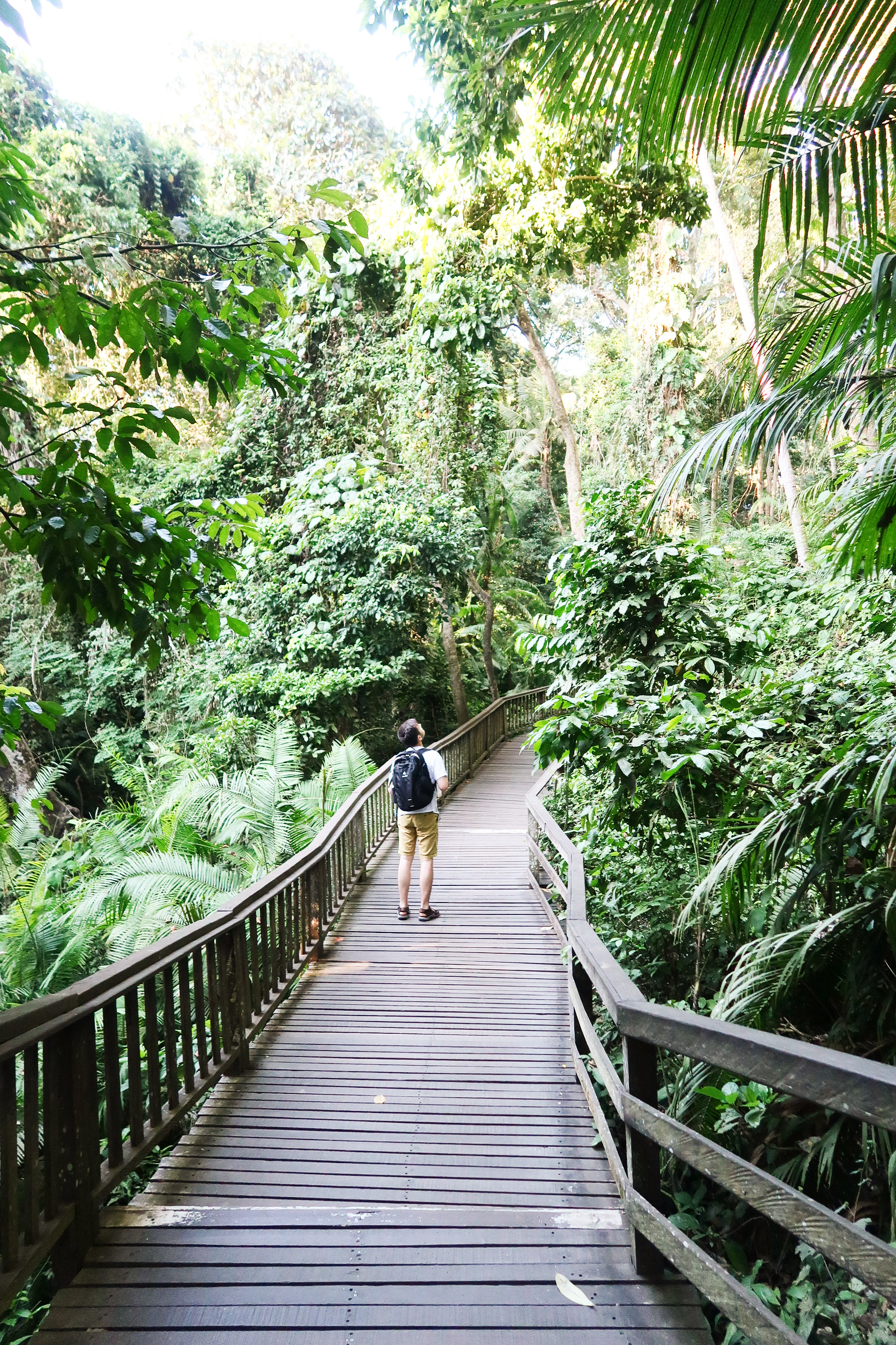 Bali coffentropy Ubud Sanur Cluj13