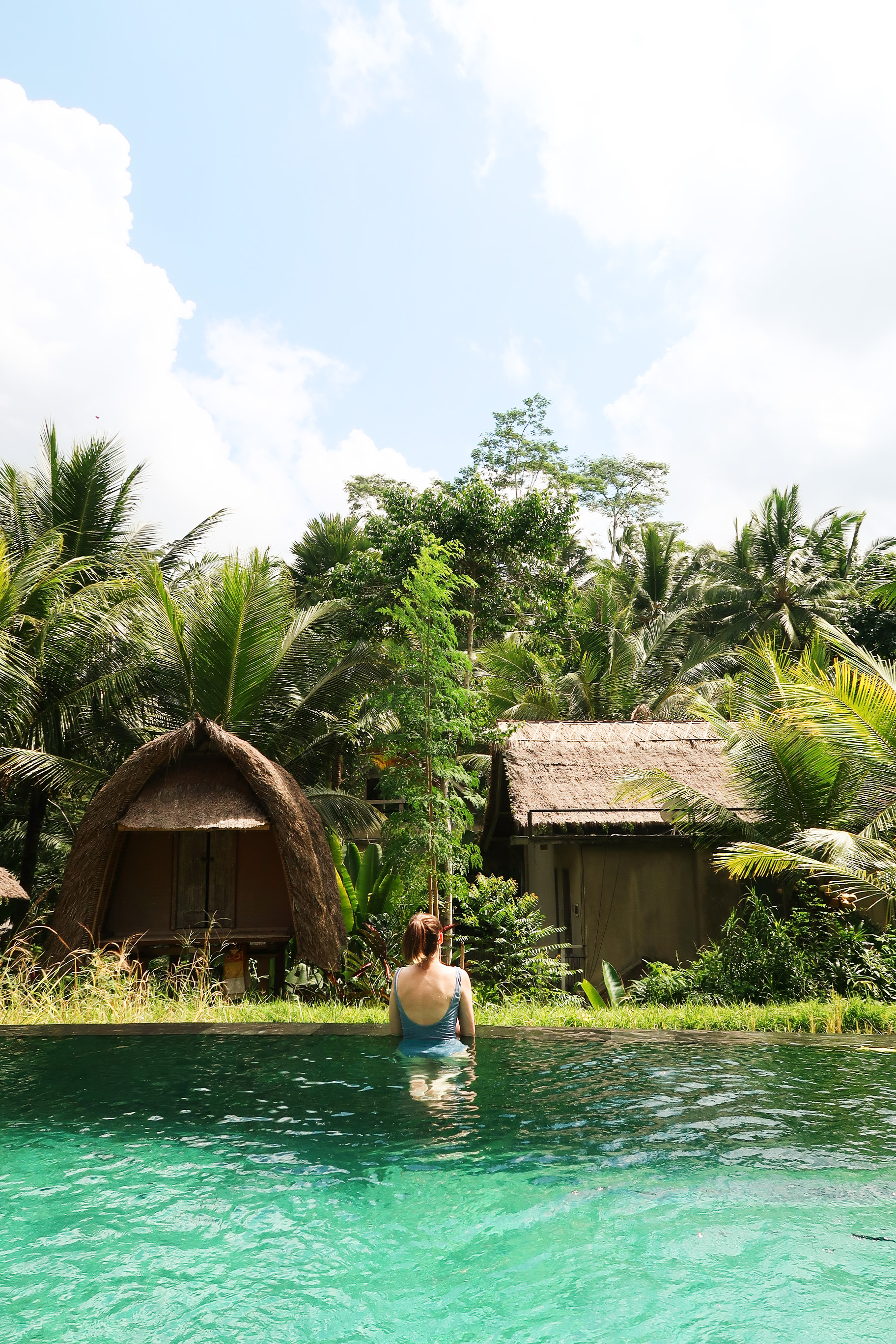 Bali coffentropy Ubud Sanur Cluj17