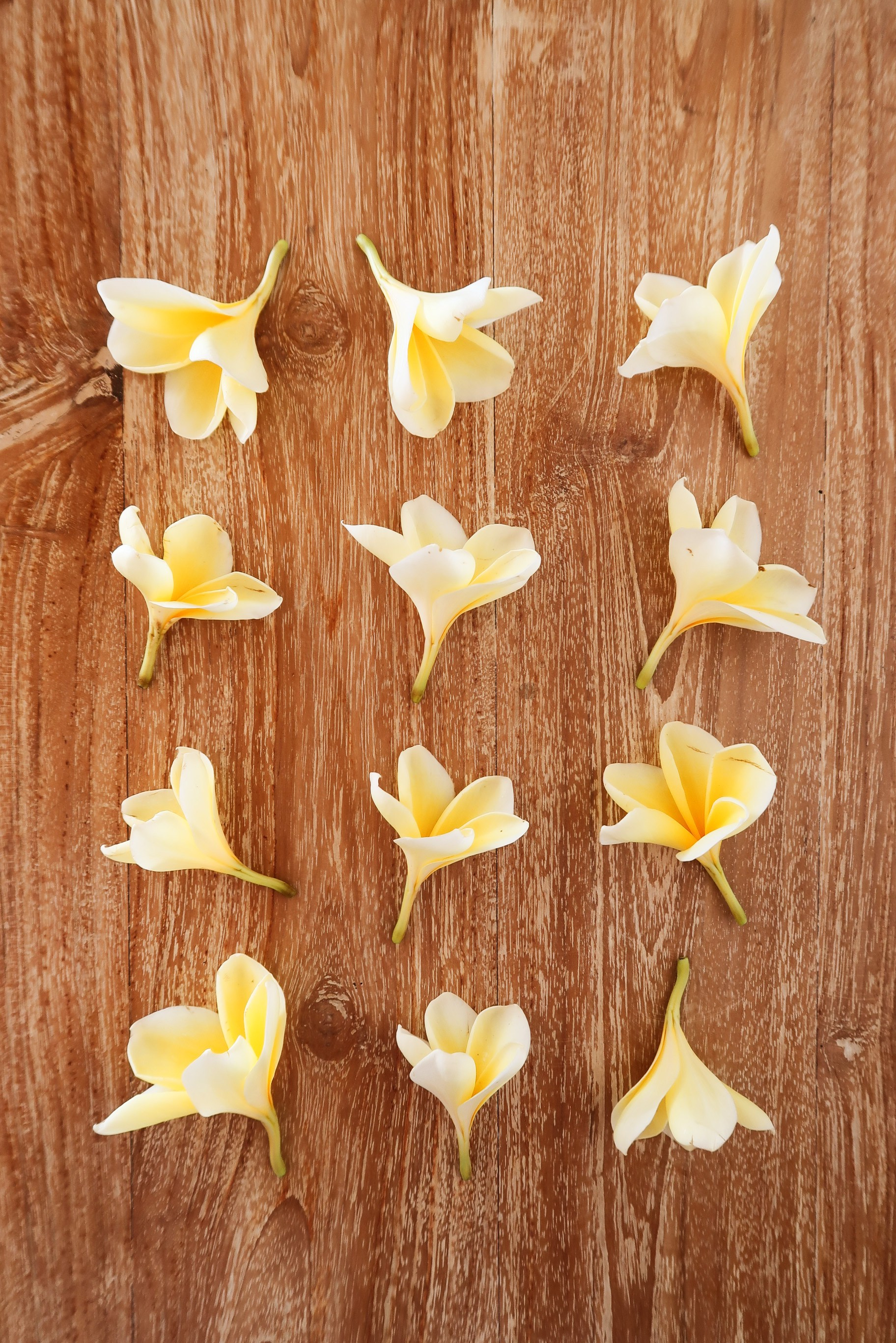 Bali coffentropy Ubud Sanur Cluj2