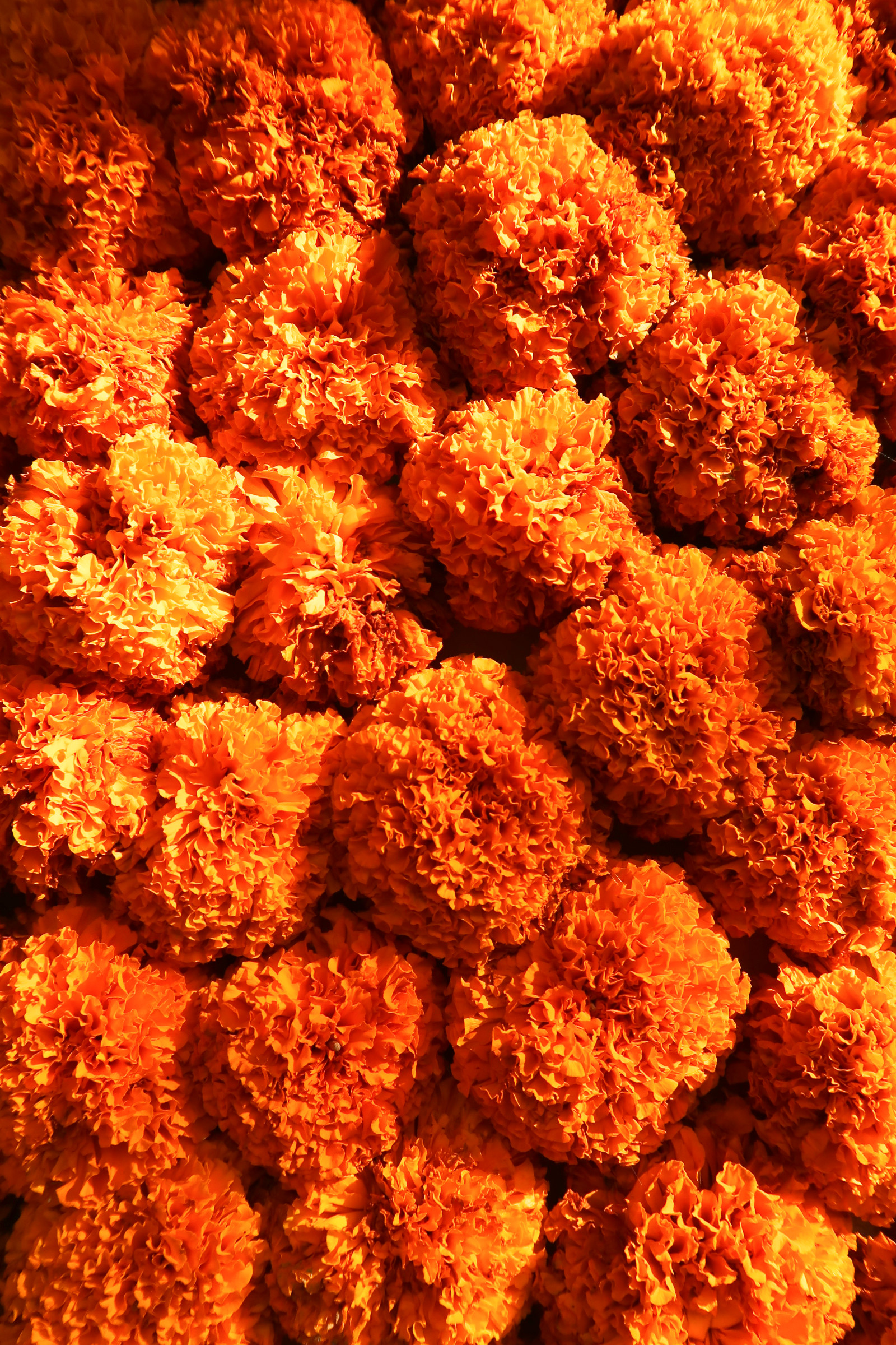 Bali coffentropy Ubud Sanur Cluj22