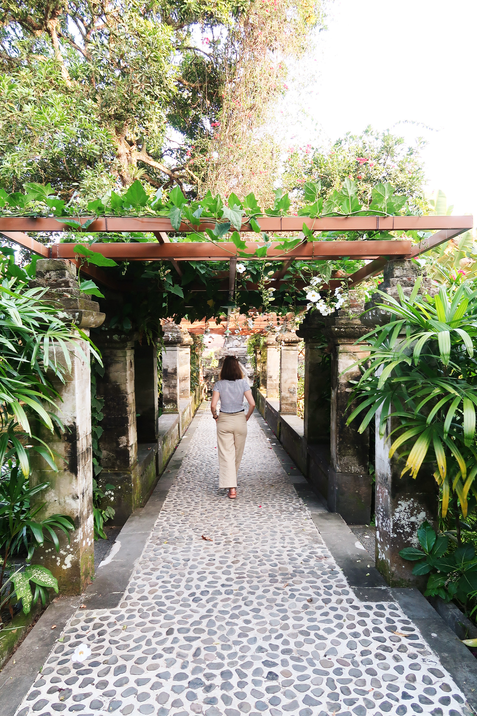 Bali coffentropy Ubud Sanur Cluj24