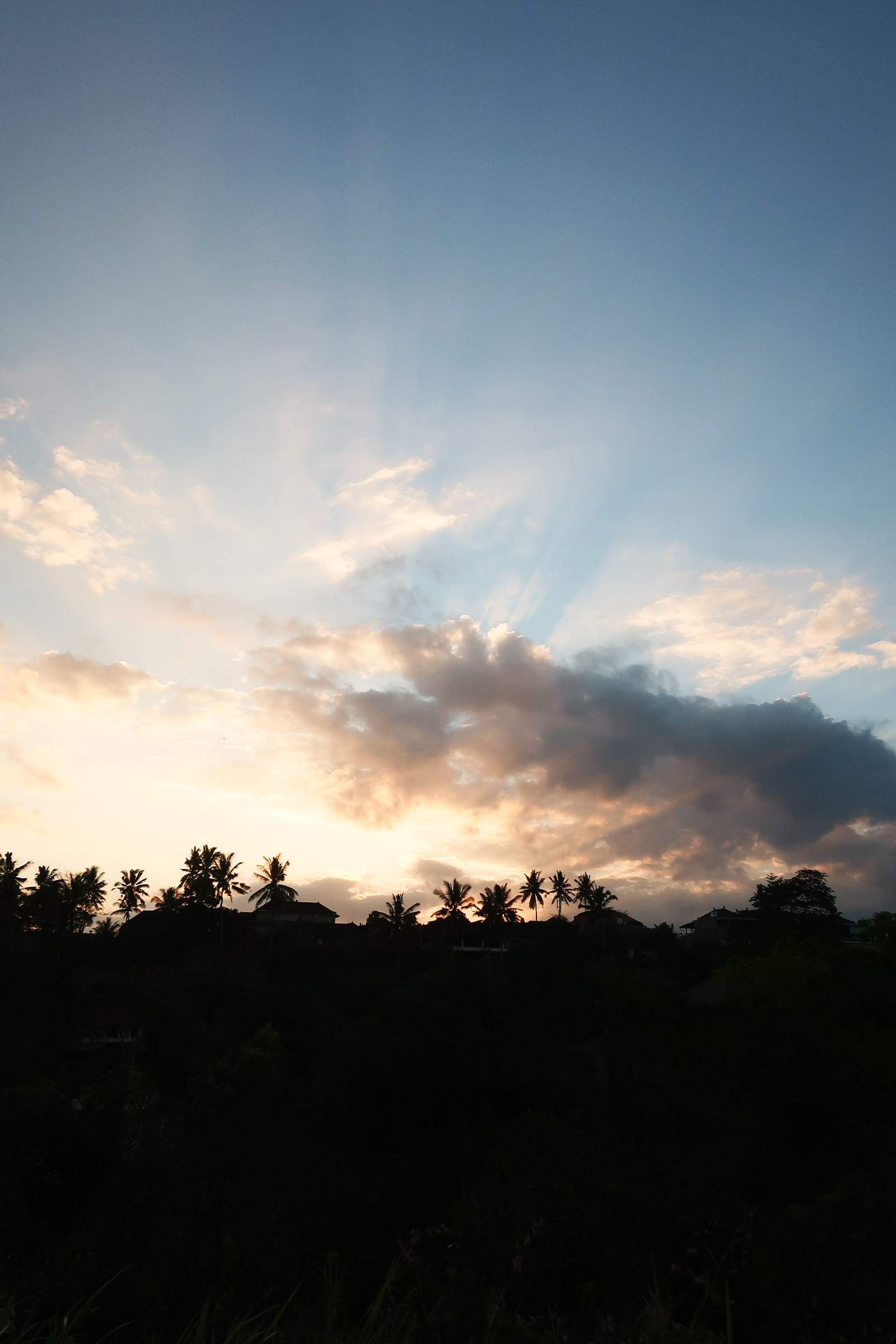 Bali coffentropy Ubud Sanur Cluj25