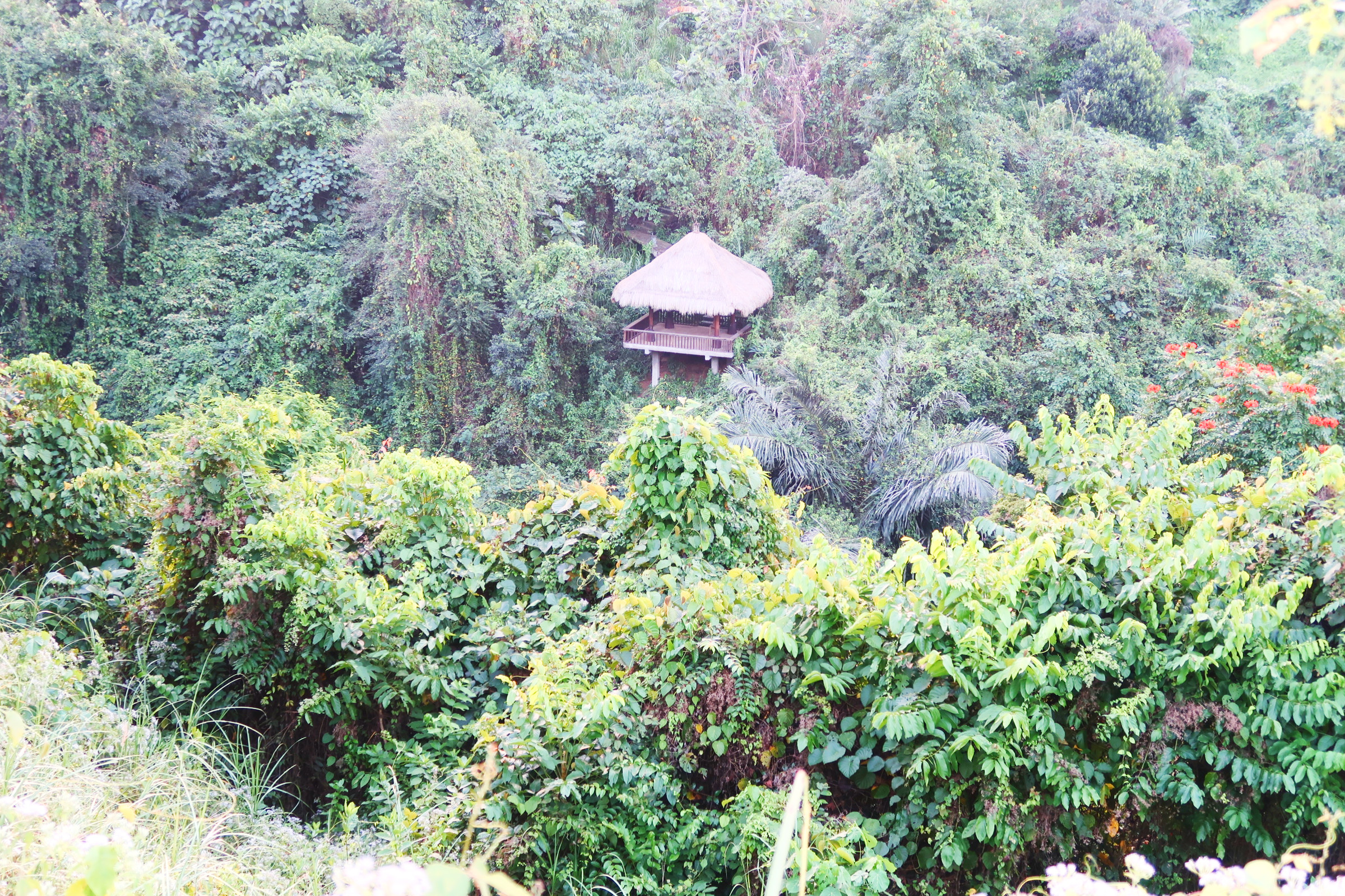 Bali coffentropy Ubud Sanur Cluj26