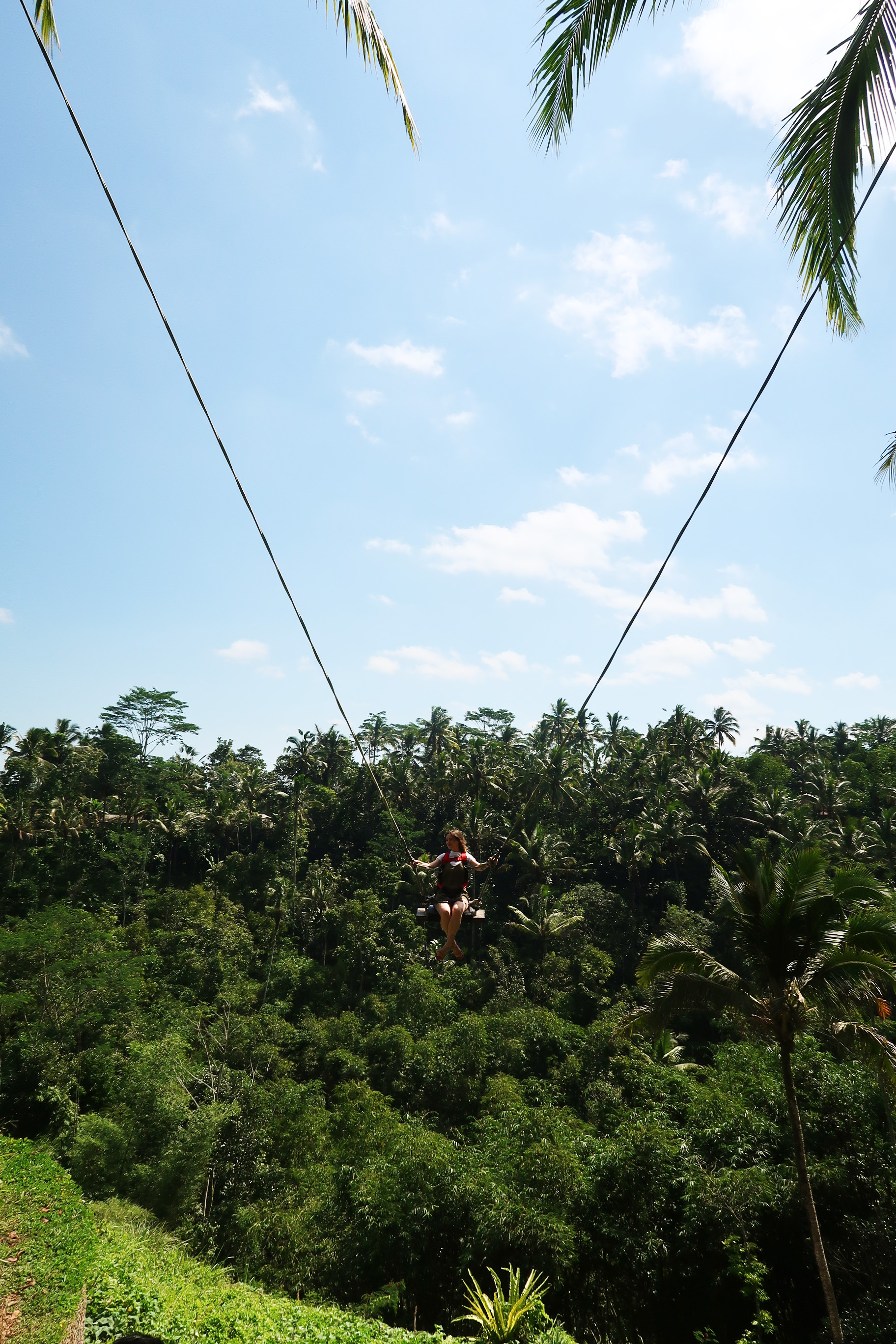 Bali coffentropy Ubud Sanur Cluj9