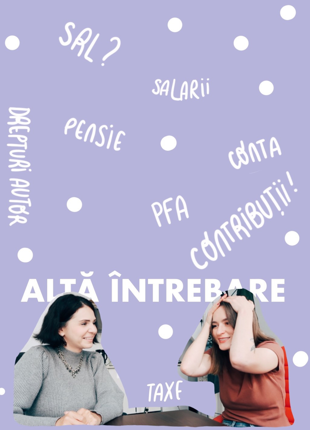 Contabilitate cu Luiza&nbsp;Daneliuc