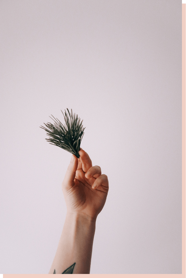 Sustenabilitate cu pași mici din 2020 spre&nbsp;2021