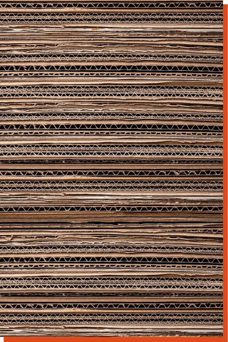 Harta Reciclării – colectarea Separată la&nbsp;îndemână